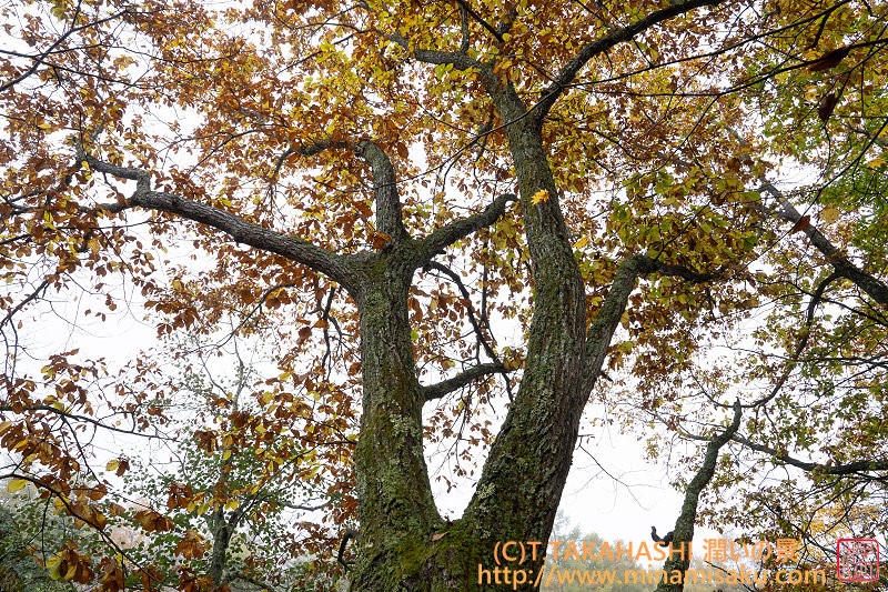 ../Images/7R251026 (274).jpg